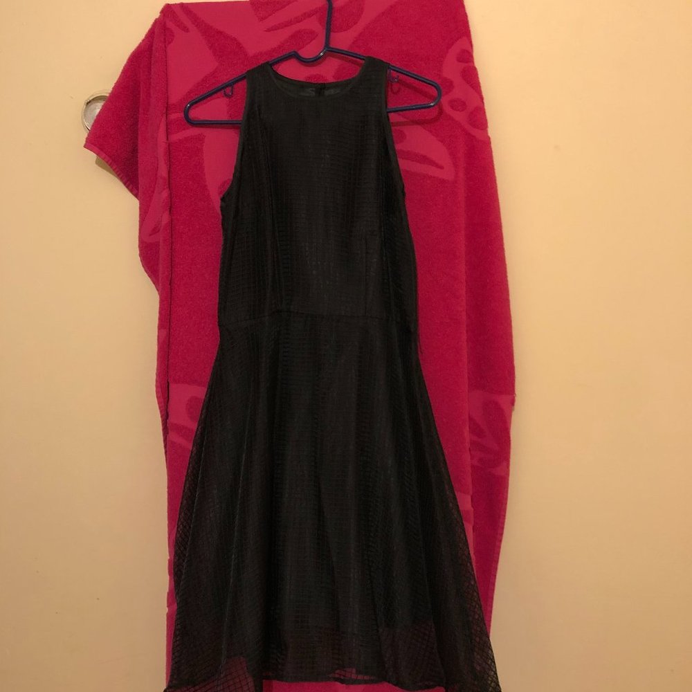 Heidi Weisel Dress
